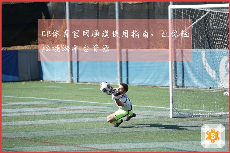 ng体育官网通道使用指南，让你轻松畅游平台资源