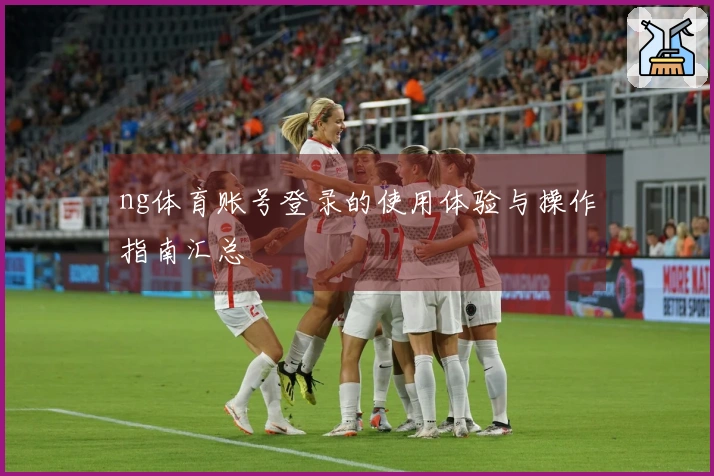 ng体育账号登录的使用体验与操作指南汇总