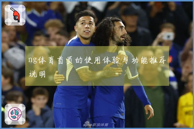 ng体育首页的使用体验与功能推荐说明