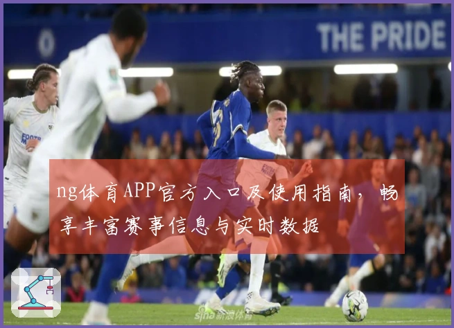 ng体育APP官方入口及使用指南，畅享丰富赛事信息与实时数据