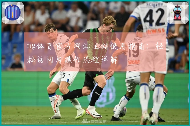 ng体育官方网站主站使用指南：轻松访问与操作流程详解