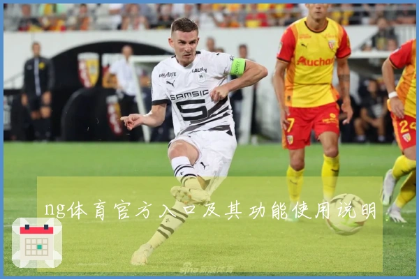 ng体育官方入口及其功能使用说明
