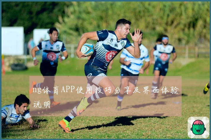 ng体育APP使用技巧分享及界面体验说明