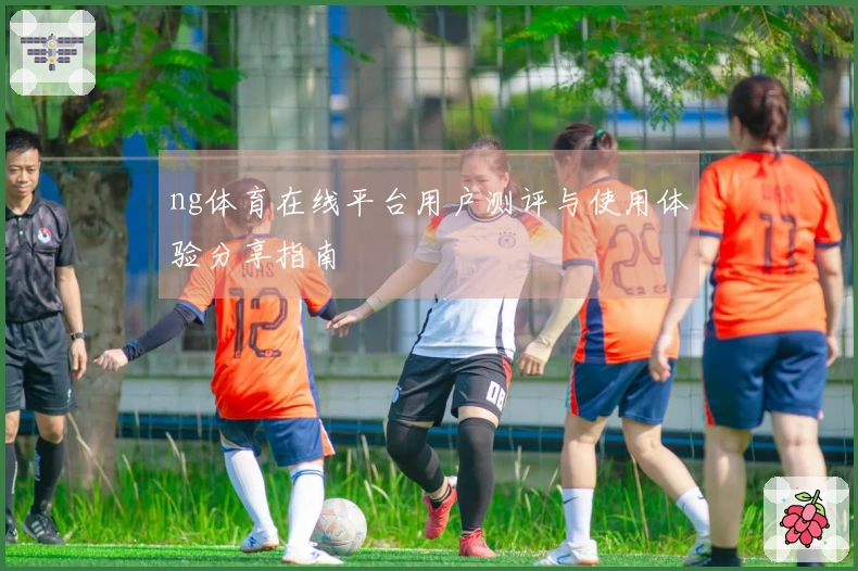 ng体育在线平台用户测评与使用体验分享指南