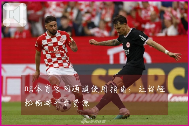 ng体育官网通道使用指南，让你轻松畅游平台资源