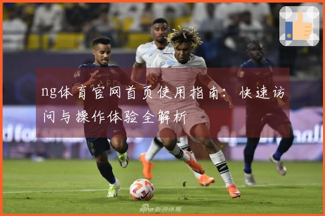ng体育官网首页使用指南：快速访问与操作体验全解析