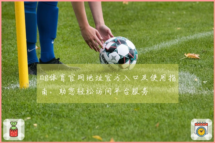 ng体育官网地址官方入口及使用指南，助您轻松访问平台服务