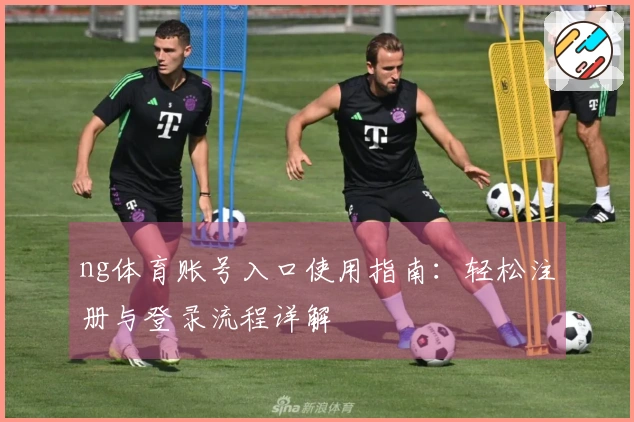 ng体育账号入口使用指南：轻松注册与登录流程详解