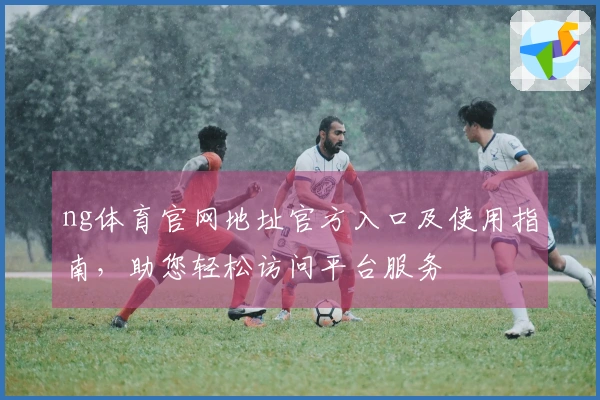 ng体育官网地址官方入口及使用指南，助您轻松访问平台服务
