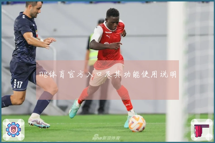 ng体育官方入口及其功能使用说明