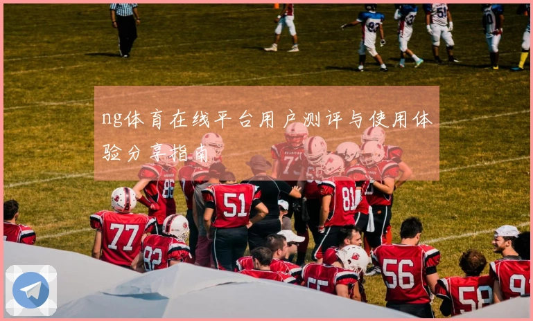 ng体育在线平台用户测评与使用体验分享指南